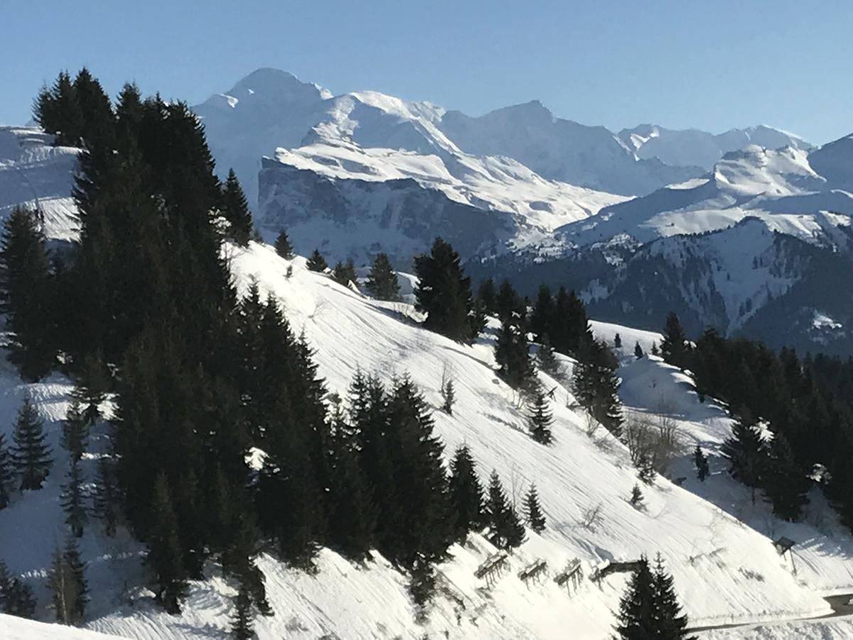 Residence Les Chardons Argentes Samoens Ngoại thất bức ảnh
